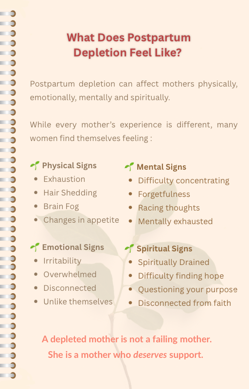 Soft Recovery: A Gentle Guide to Postpartum Wellness